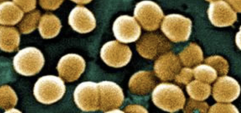 Infectious Disease Doctors Medical Group